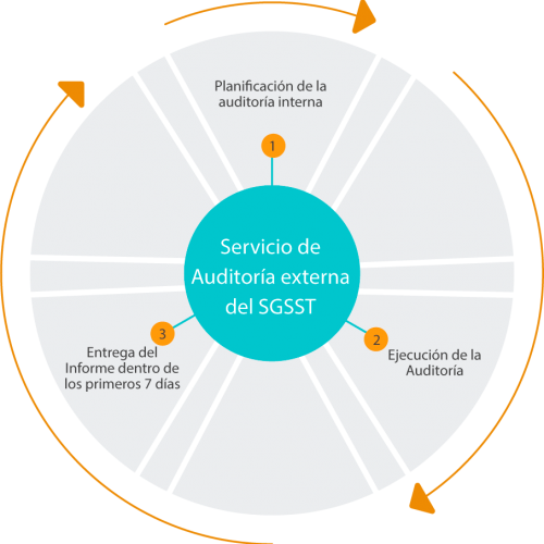Grafico-Servicio de Auditoría externa del SGSST