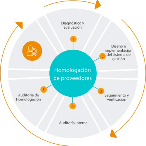 Grafico-homologacion-de-proveedores Grafico-homologacion-de-proveedores